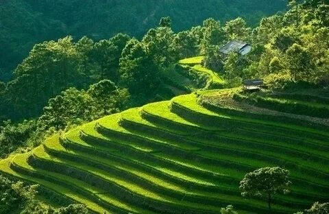 Mẹ đơn thân ở Vĩnh Yên và hành trình tìm lại chính mình cùng Hotspot Matrix_Hướng dẫn tạo nội dung