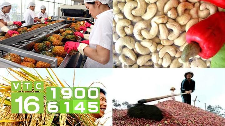 Xu hướng 10 nữ thần quốc dân đẹp nhất: Hotspot Matrix tiết lộ bí quyết video viral
