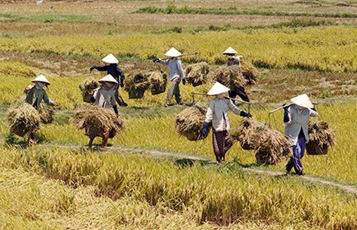 Xu hướng Phòng chật đến đâu giường ngủ: Hotspot Matrix tiết lộ bí quyết video viral