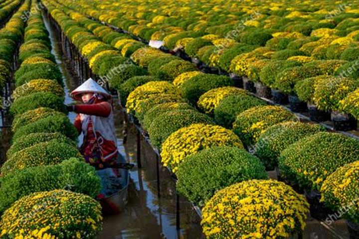 Nội dung: Mùa hè đang đầy vui vẻ với những bức tường nhảy vò đang xu hướng trên mạng