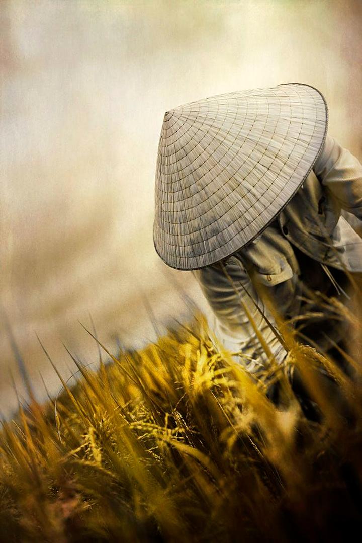 Cô giáo mầm non và hành trình