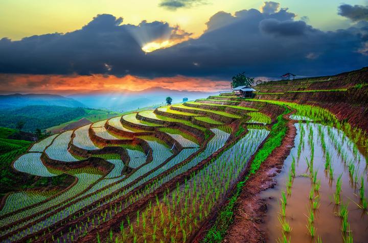 Hotspot Matrix: Biến HOT: Trấn Thành chính thức thành cơ hội marketing đột phá