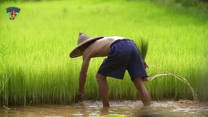 Từ 3 kiểu giày