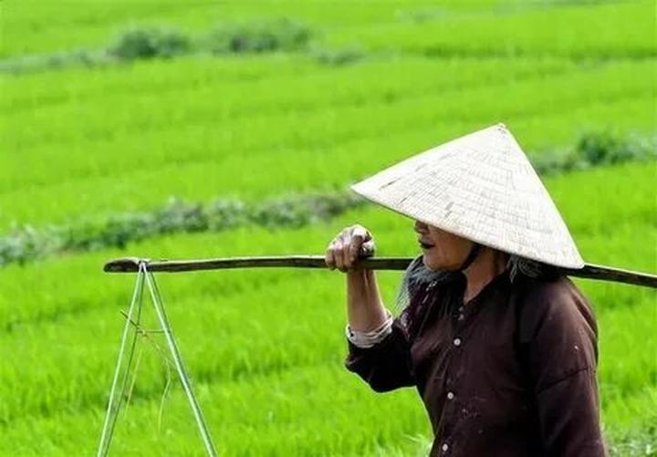 Từ Khuyết Tật Đến Triệu View: Câu Chuyện Cảm Hứng Của Tuấn Anh