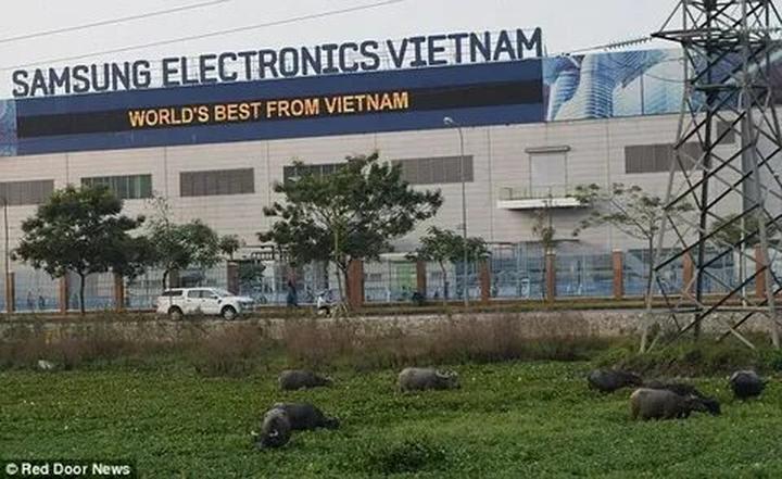 Khám phá Thế giới, Kiếm Tiền Từ Vlog: Hotspot Matrix - Người Bạn Đồng Hành